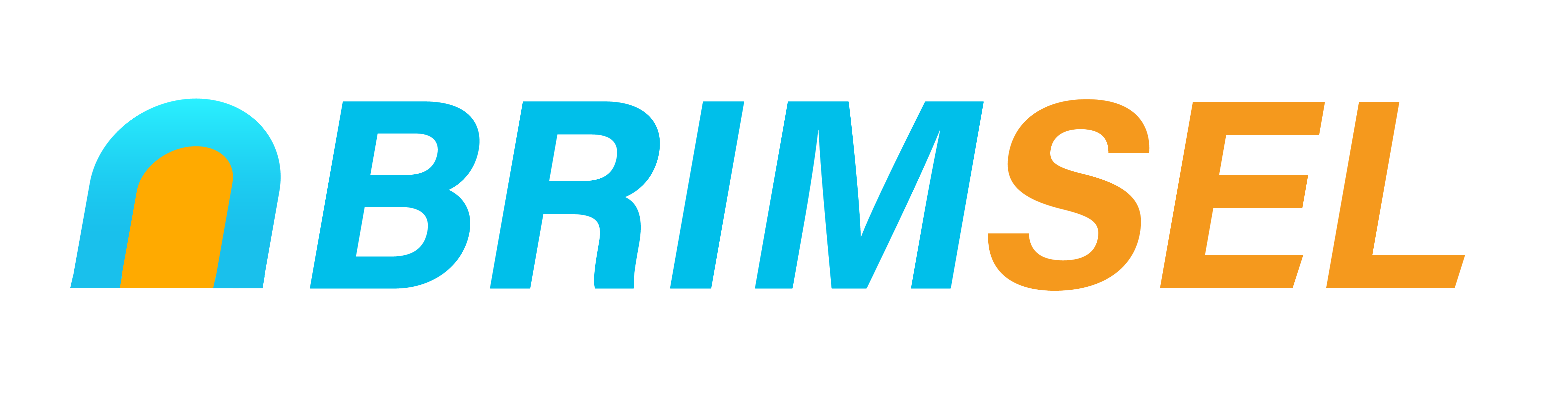 BRIMSEL AI